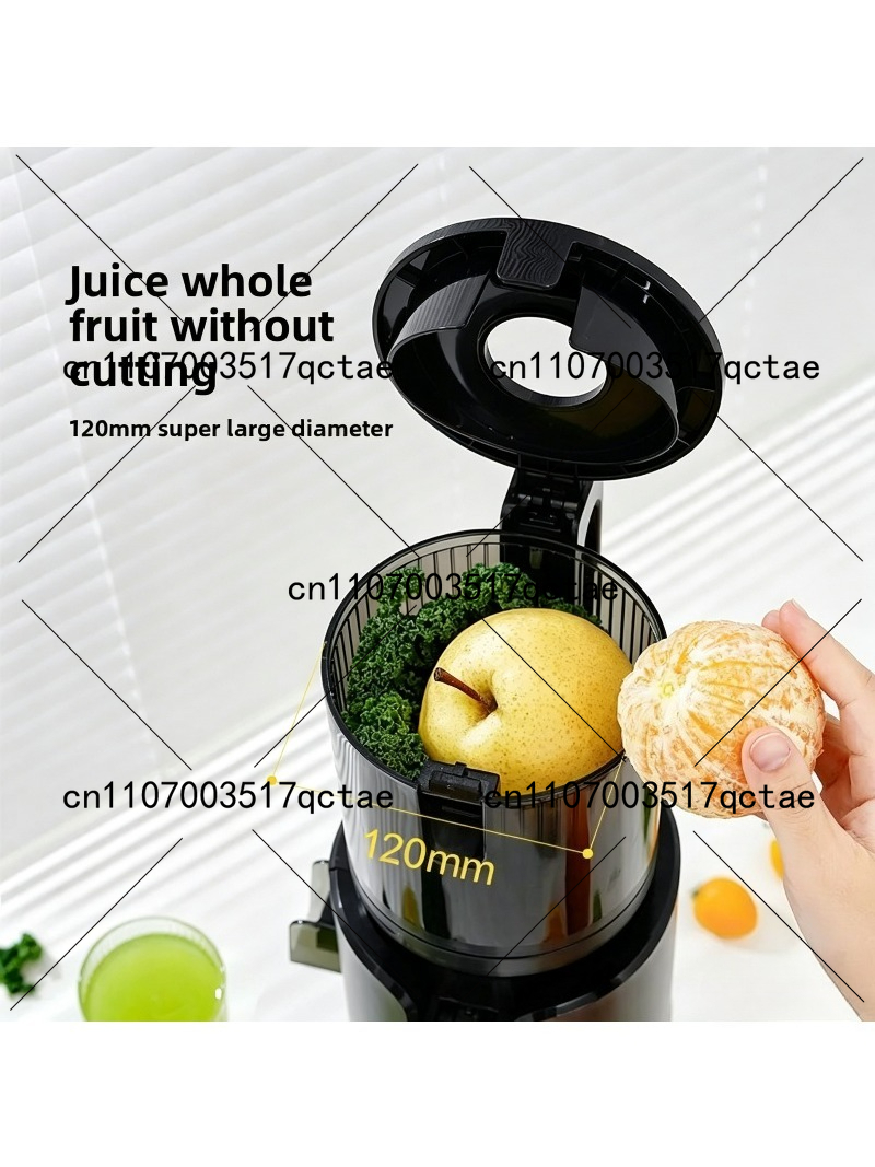Cold Press Juicer 220V Slow Sp - đánh giá và giá Electric Slow Juicer Cold Press
