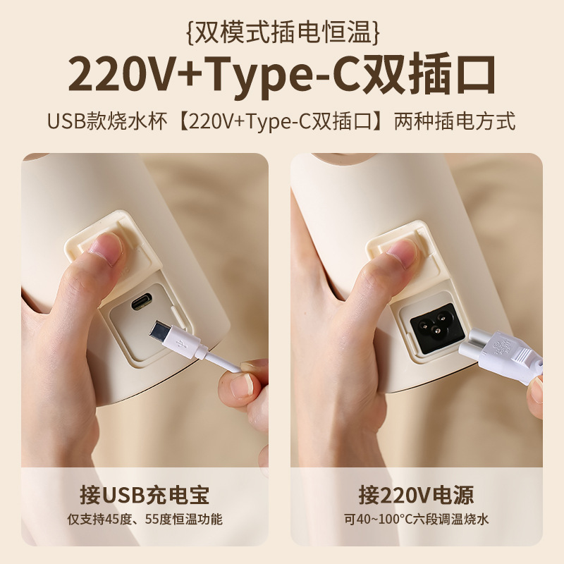Portable Mini Electric Kettle, - đánh giá và giá Electric Kettle Temperature Control